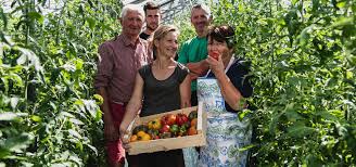 Les Jardins De La Cote Rotie Gaec Des Primeurs D Ampuis