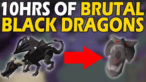 The average value of one kill is 24,498.55 coins. Osrs Loot From 6 Hours Of Brutal Black Dragons Scuffed Gear By Gawny