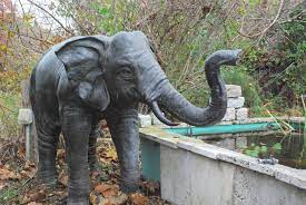 We did not find results for: Large Elephant Garden Statue Garden Ornaments Giant Stone Elephant Fountain Bronze Elephant Fountain For Pond Elephant Statue Garden Statues Statue Garden