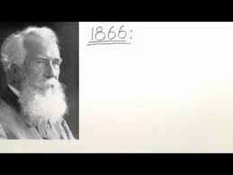 Die 1866 aufgestellte biogenetische grundregel von ernst haeckel besagt, dass die ontogenese (keimesentwicklung) eine verkürzte phylogenese (stammesentwicklung) ist. Die Biogenetische Grundregel Ein Uberblick Biologie Evolution Youtube