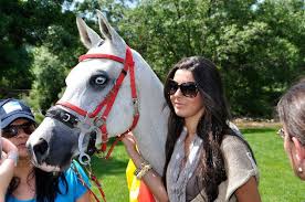 Ha Muerto un Caballo Campeón, Al-Garbe.