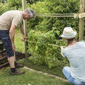 Bauen Sie Sich Eine Ranch Fur Himbeeren Rankhilfe Himbeeren Rankhilfe Himbeeren
