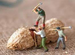 That makes this puzzle fitting, in. Tknrpzbqawc19m