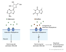 Pharmawiki Schwarztee