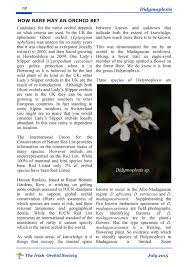 Image result for Didymoplexis