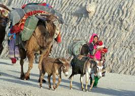 نتیجه جستجوی لغت [nomadic] در گوگل
