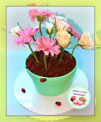 Blumentopf Torte Torten Blumentopf Motivtorten Ideen