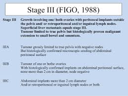 Tumour is limited to one ovary, the capsule is intact, no tumour on ovarian surface and no. Figo 2014 Staging Of Cancer Ovary
