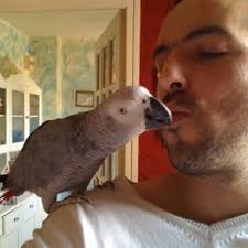 Stream James LaSHON music