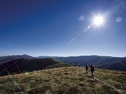 No Cookies Perth Now Australia Caravan Park World Wallpaper