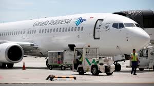 Garuda felt that this union would threaten the smaller kingdoms and his power over the islands, so he flew to china. Indonesia S Garuda To Halve Aircraft Fleet In Restructuring Plan Nikkei Asia