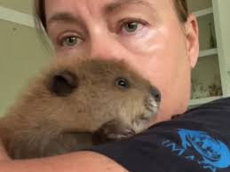 Mysterious wooden box with holes sat at the airport for a week before  anyone opened it