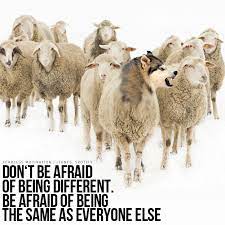 20 Strong Wolf Quotes To Pump You Up Wolves Wolfpack Quotes