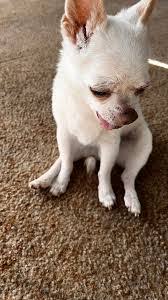 Dan Whitted's Instagram, Twitter & Facebook