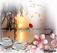 Https Encrypted Tbn0 Gstatic Com Images Q Tbn 3aand9gcq8b3y2ocjjf2klubbte0tnlybdvparnvbkyg Usqp Cau