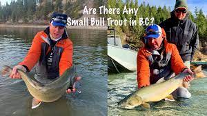 Monster B C Bull Trout Phil Rowley Fly Fishing Youtube