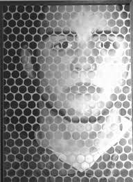 Lisa Delfino's Instagram, Twitter & Facebook