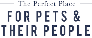 I originally started seeing dr. Dog Day Care Pet Hotel In Mn