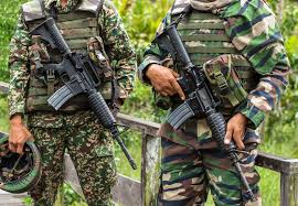 The m16a4 is a 5.56mm x 45mm gas operated assault rifle. M16a4 Randy Surles Military Book Editor