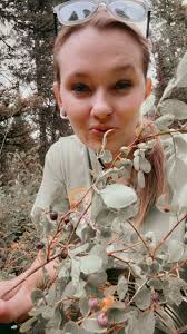 Huckleberry picking with loaded bushes