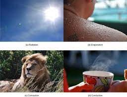 We did not find results for: Homeostasis Boundless Biology