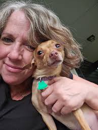 Does TropiClean Fresh Breath work for dog plaque?