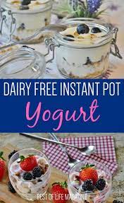 These Dairy Free Instant Pot Yogurt Recipes Are So Delicious You Won T Even Miss The Instant Pot Yogurt Recipe Instant Pot Yogurt Dairy Free Yogurt Instant Pot