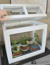 Tabletop Greenhouse Small Greenhouse Homemade Greenhouse Diy Greenhouse