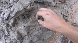 Fouille Fossile Les Falaises Des Vaches Noires A Houlgate Youtube