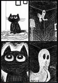 However, also consider the pitch, length, frequency, and volume of the meows. 5 Signs That Your Cat Can See Ghosts