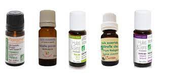 Maybe you would like to learn more about one of these? Traitement De La Punaise De Lit Avec Les Huiles Essentielles