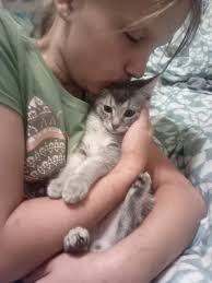 Kern River Valley News & Community Info