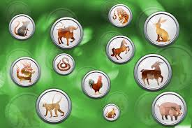 In china, the start of a new year is celebrated with a spring festival, the biggest holiday of the year. Which Chinese Zodiac Animal Am I And What Does It Mean