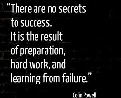 There are no secrets to success. #quotes #business | Inspiration ... via Relatably.com