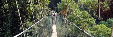 Penang to taman negara bus. The 10 Best Taman Negara Hotels Where To Stay In Taman Negara Malaysia