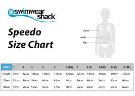 speedo swimwear size chart swimwear shack online swimwear