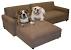 Fancy Dog Couch