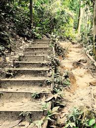 Bukit gasing forest reserve (gps: Gasing Hill The Best Place For Hiking In Kuala Lumpur
