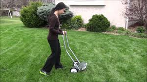 Aeration for the lawn is the single most important thing you can do each year. The Ultimate Guide To Lawn Aeration