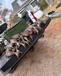 Mathias Cheney 的Instagram photo • Oct 28, 2024 at 2:38 PM