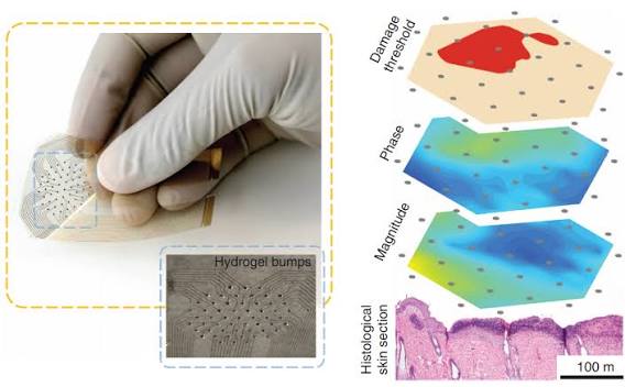 Bioelectronic sensors