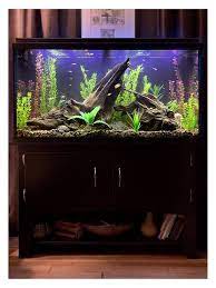 I've been keeping fish, since i was a kid. Most Beautiful Freshwater Tanks All Time