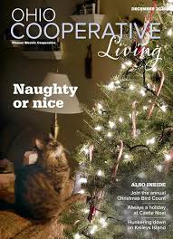 Studied infantry at united states marine corp. Ohio Cooperative Living December 2020 Pioneer By Ohio Cooperative Living Issuu