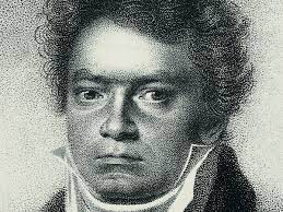 The beethoven family, partly flemish by ancestry, a. Beethoven Was Black Why The Radical Idea Still Has Power Today Ludwig Van Beethoven The Guardian
