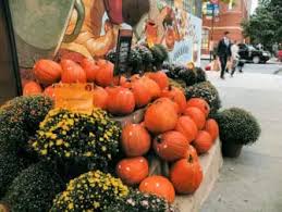 Hier gibt es kurze infos und den aktuellen termin. Halloween In New York 2021 Newyorkcity De