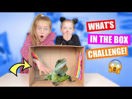 De zoete zusjes en hun broer bram gaan op vakantie! Kleurplaat Zoete Zusjes Zoeken Een Schat