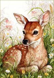 Cerfs Biches Faons Chevreuils En Peinture Et Illustrations Debbie Cook Balades Comtoises Art Sur Le Theme Du Cerf Illustrations Animalieres Cerf Dessin