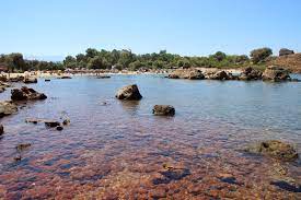 Το ξενοδοχείο elotia είναι κτισμένο στην περιοχή των αγίων αποστόλων 4χλμ δυτικά βρίσκεται σε απόσταση λίγων μέτρων από την πιο όμορφη και οργανωμένη παραλία της περιοχής με δυνατότητα επιλογής θαλάσσιων σπόρ. Agioi Apostoloi Xania Xania Paralies Ths Krhths Elizabeth Estate Agency