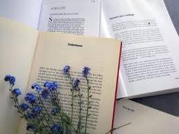 Das ß verlängert also den vokal. Wie Wann Schreibe Ich Das Vorwort Zu Meinem Sachbuch 6 Tipps Die Es In Sich Haben Eigenes Buch Schreiben Sachbucher Buch Schreiben