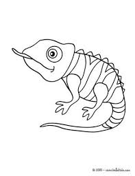 Cute Chameleon Coloring Page Animal Coloring Pages Coloring Pages Chameleon Art